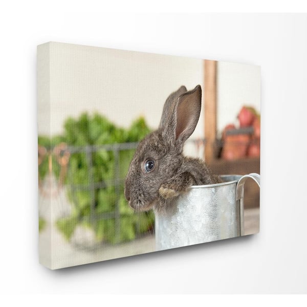 Stupell Industries 30 in. x 40 in. "Brown Bunny in a Galvanized Bucket Farm Photograph" by UTURN Studio Canvas Wall Art