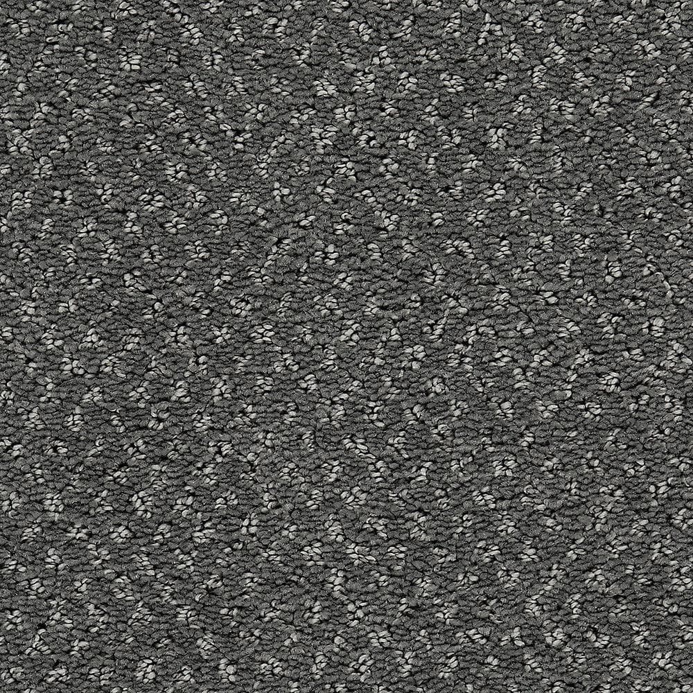 8 in. x 8 in. Pattern Carpet Sample - Pretty Penny -Color Rolling Thunder price history on PriceWatchPro
