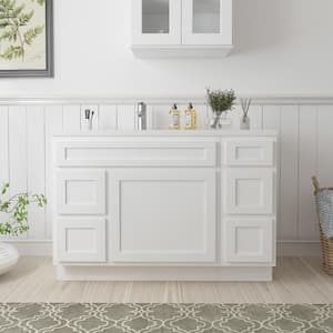 48 in. W x 21 in. D x 32.5 in. H Bath Vanity Cabinet without Top in White