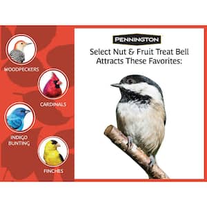 Premium 15 oz. Nut and Fruit Treat Bell with Seeds, Grains, Nuts and Fruit for Wild Birds