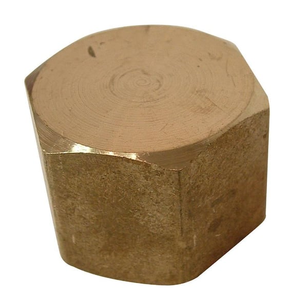 1/8 in. FIP Brass Cap Fitting