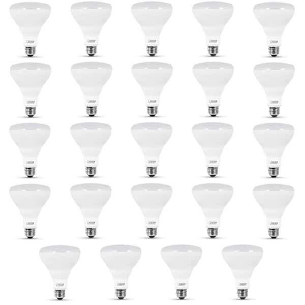 Reviews for Feit Electric 85-Watt Equivalent BR30 Dimmable CEC ENERGY ...