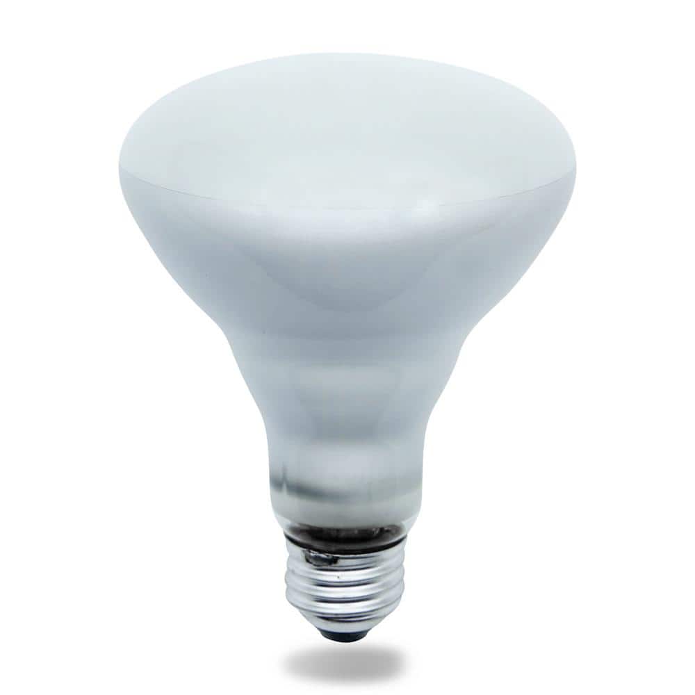 65-Watt BR30 E26 Replacement for GE GENERAL ELECTRIC G.E 65BR30/PROLINE-130V Incandescent Light Bulb price history on PriceWatchPro