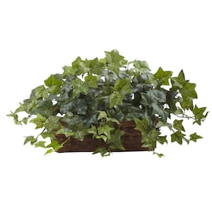 Artificial Puff Ivy with Ledge Basket