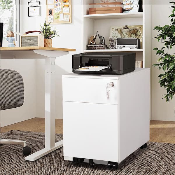 Cadeninc White Mobile Metal File Cabinet With 2 Drawer And Lock Fully Assembled Sin Lqw1 2407 The