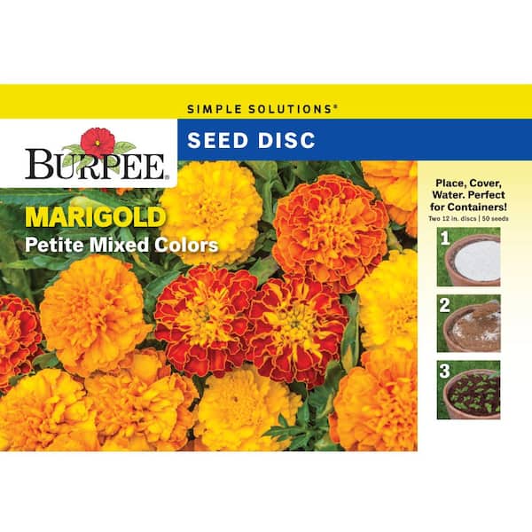 Burpee Marigold Petite Mixed Colors Seed Disc