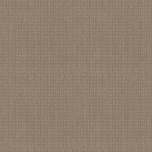 Boxton - Warm Clay - Brown 32.7 oz. Nylon Pattern Installed Carpet
