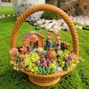 Succulent Plants Collection Flowers with Couple Rabbit Flower Basket