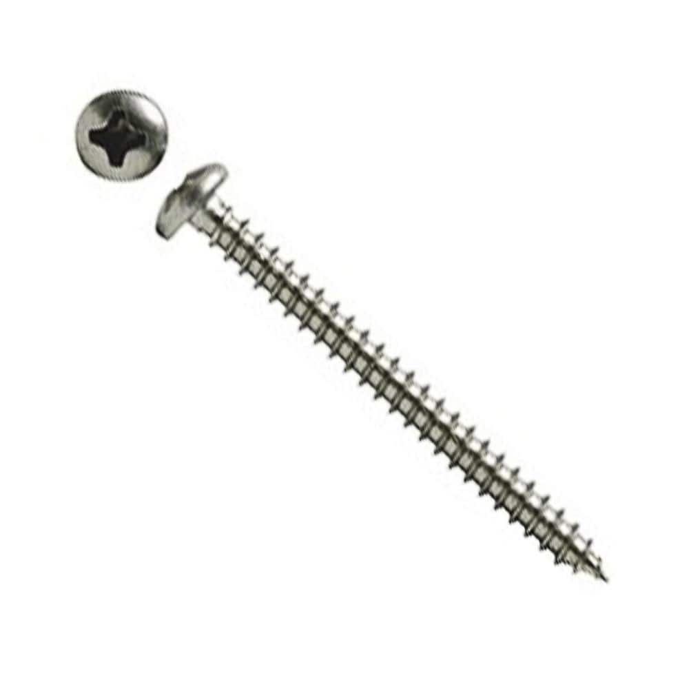 SW Stainless Steel Screw 2 in.