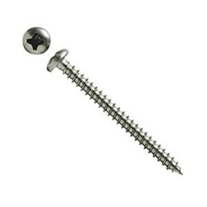 SW Stainless Steel Screw 2 in.