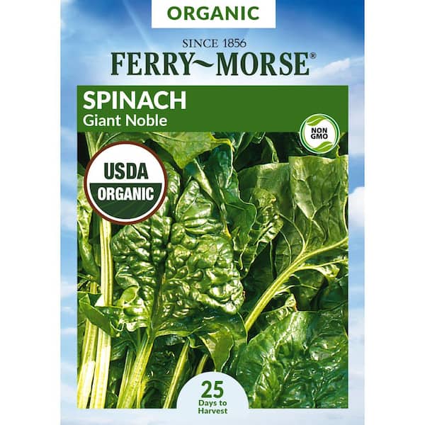 Organic Spinach Giant Noble Vegetable Seed