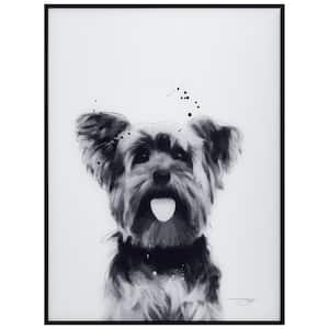 "Yorkshire Terrier" Black and White Pet Paintings on Printed Glass Encased with a Gunmetal Anodized Frame