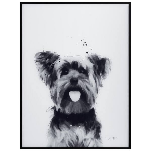 Empire Art Direct Dalmatian Pet Paintings on Printed Glass Encased with A  Black Anodized Frame, 24 x 18 x 1