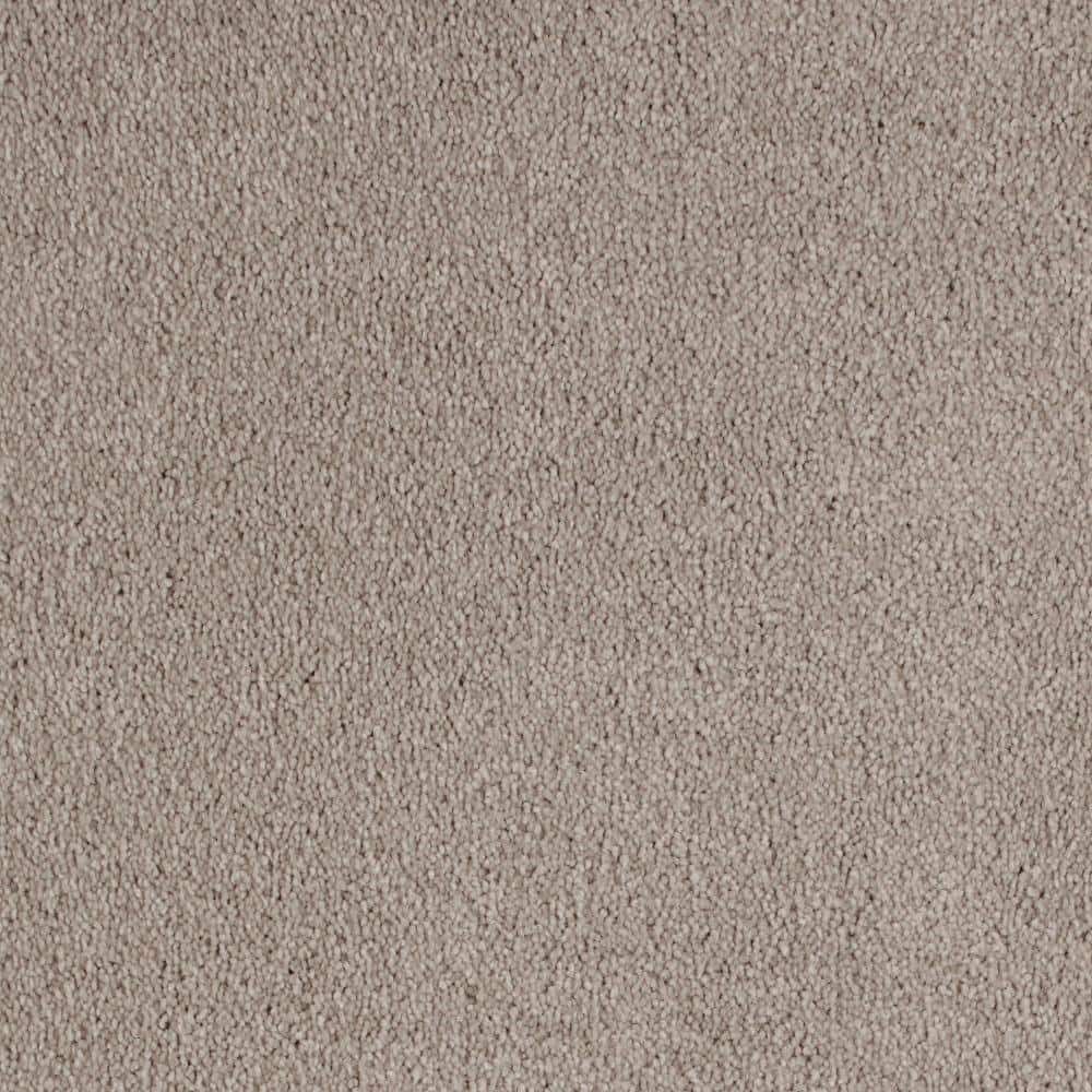 8 in. x 8 in. Texture Carpet Sample - Still In Love I -Color Cuddle Up price history on PriceWatchPro