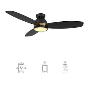 Biscay 48 in. Integrated LED Indoor/Outdoor Black Smart Ceiling Fan with Light and Remote, Works with Alexa/Google Home