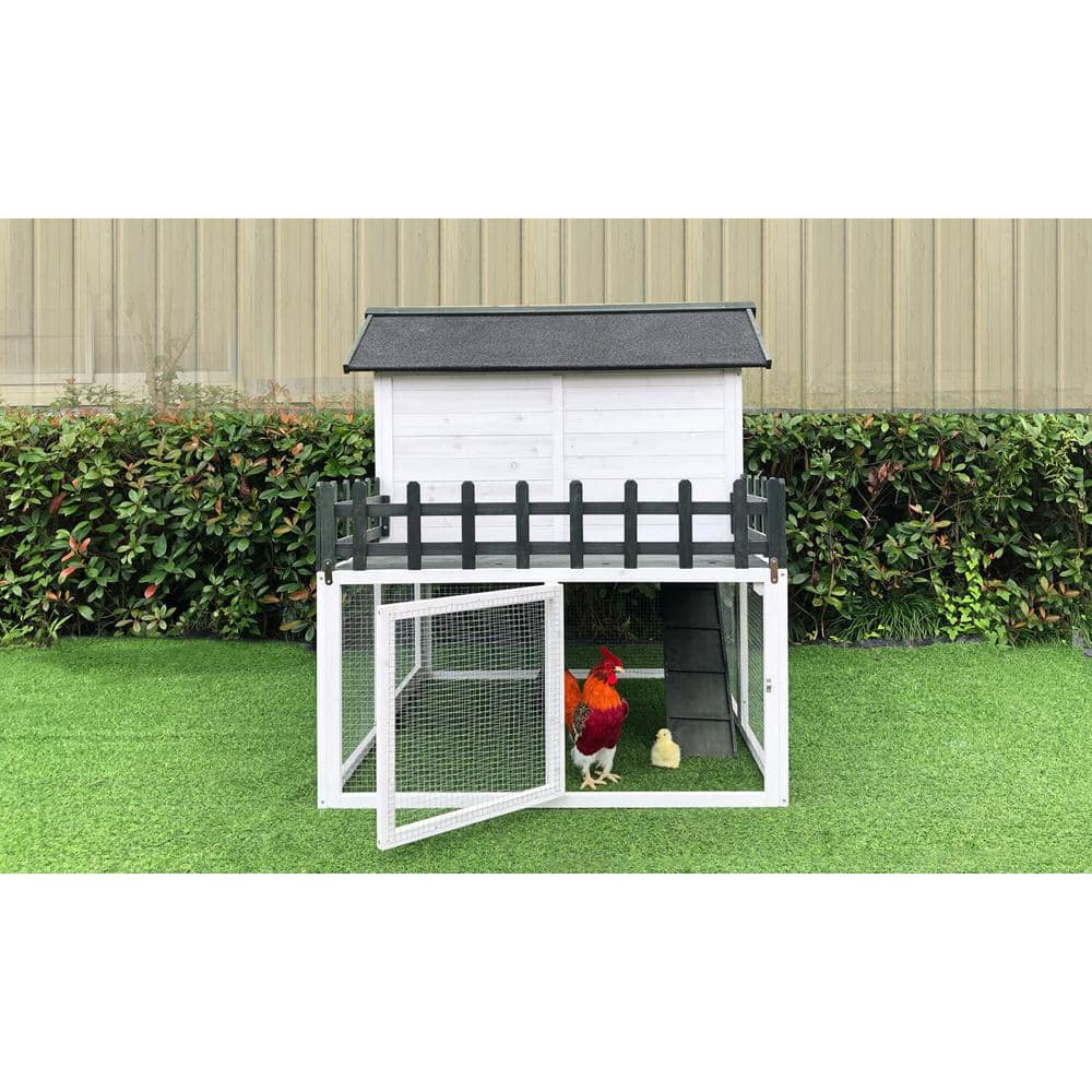 White and Black Elevated Wooden Chicken Coop with Ramp and Wire Mesh Run