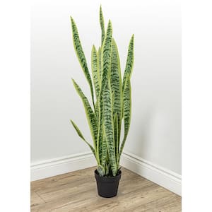 Botanical 3.5 ft. Green and Yellow Sansevieria Cylindrica in Pot