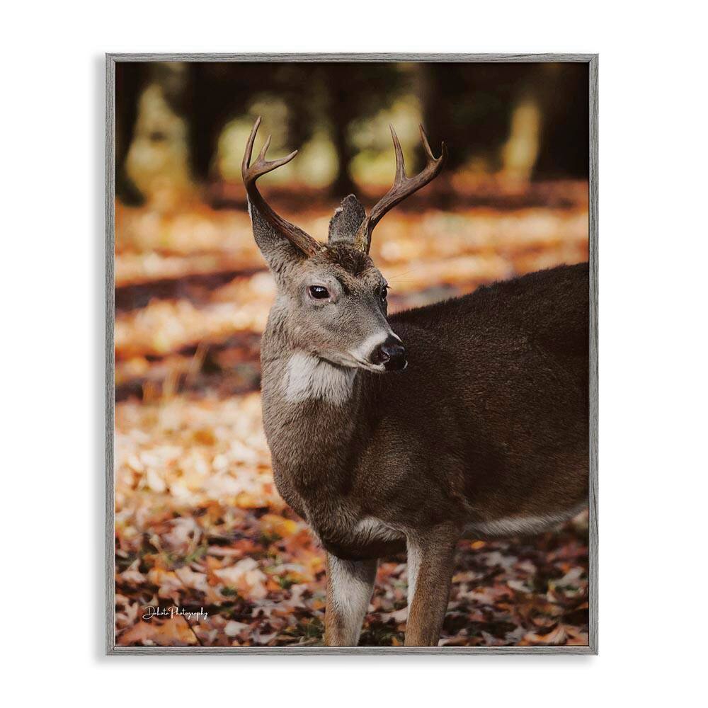 Deer in Fall Foliage by Dakota Diener Gray Framed Graphic Animal Art Print 24 in. x 30 in. price history on PriceWatchPro