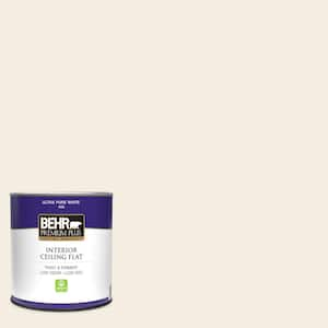 1 qt. #W-F-210 Nude Ceiling Flat Interior Paint