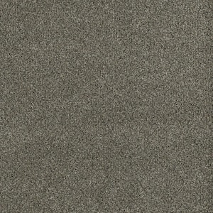 Chastain II - Sutton - Brown 60 oz. SD Polyester Texture Installed Carpet