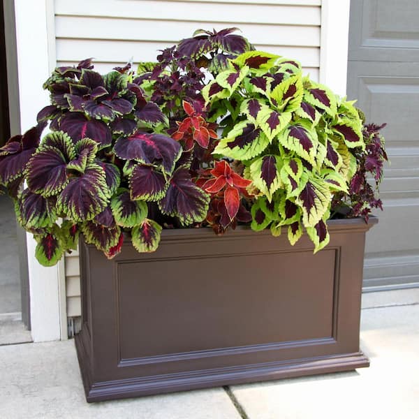 Fairfield 20 in. x 36 in. Self-Watering Espresso Polyethylene Planter