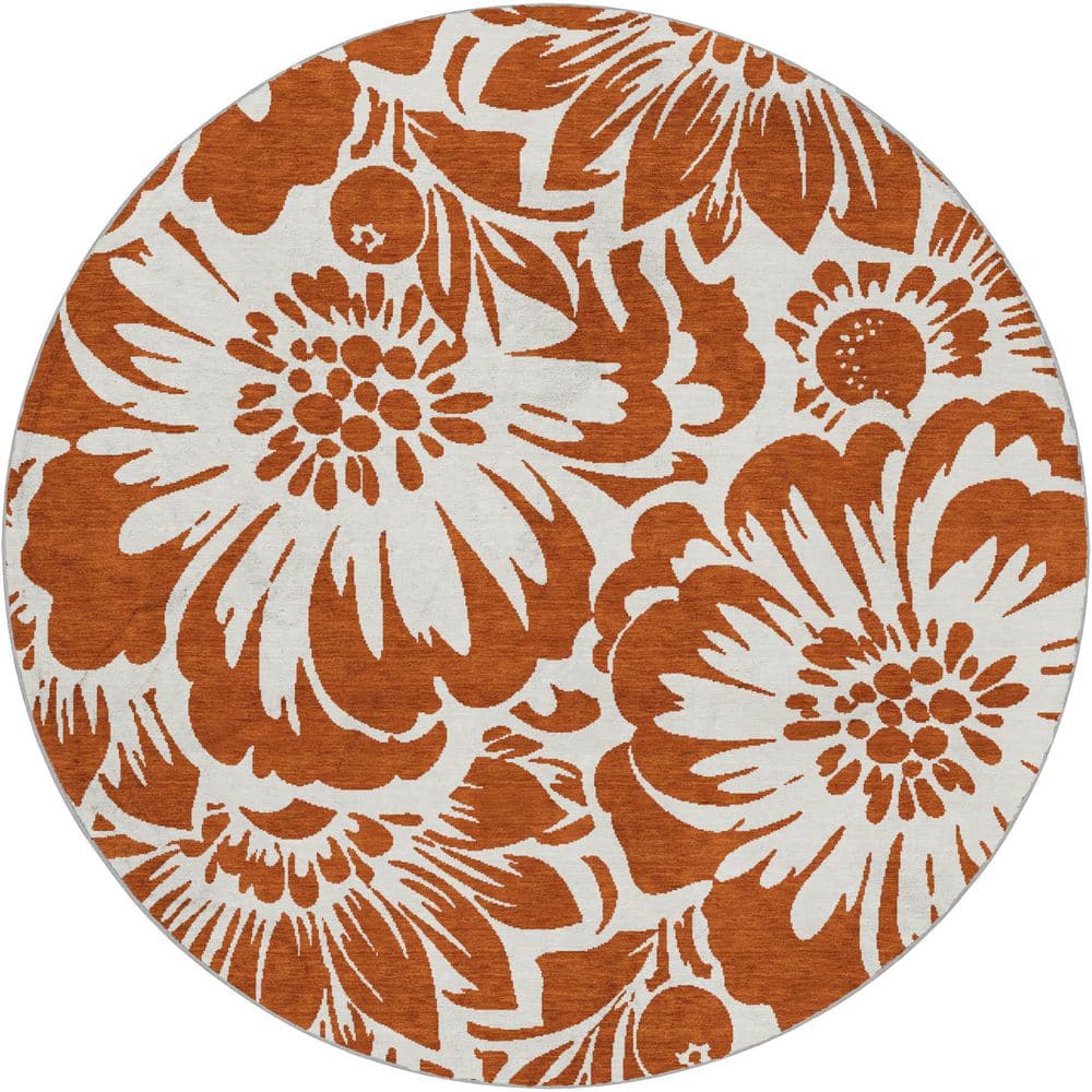 Dream Shag Premium Machine Washable Abstract ADS551 Paprika 8 ft. x 8 ft. Round Rug price history on PriceWatchPro