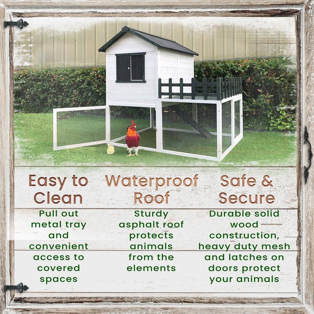 White and Black Elevated Wooden Chicken Coop with Ramp and Wire Mesh Run