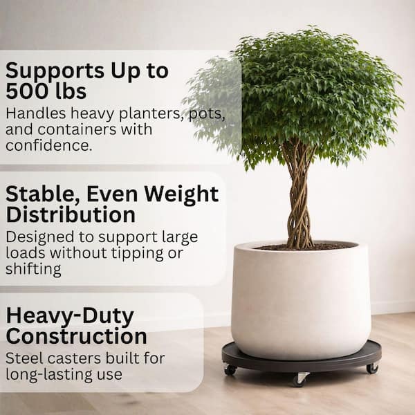 Devault Enterprises 12 in. Plant Dolly/Caddy Black DEV3012B - The
