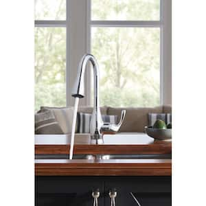 Kaden Single-Handle Pull-Down Sprayer Kitchen Faucet with Reflex, Power Clean and Soap Dispenser in Chrome