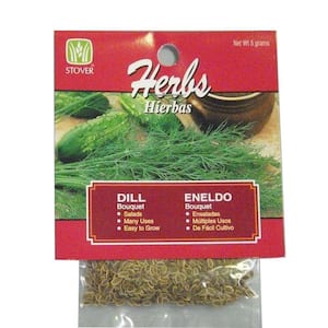 Dill Herb Seed