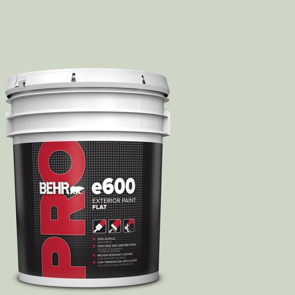 BEHR PRO 5 gal. #S390-2 Spring Valley Flat Exterior Paint