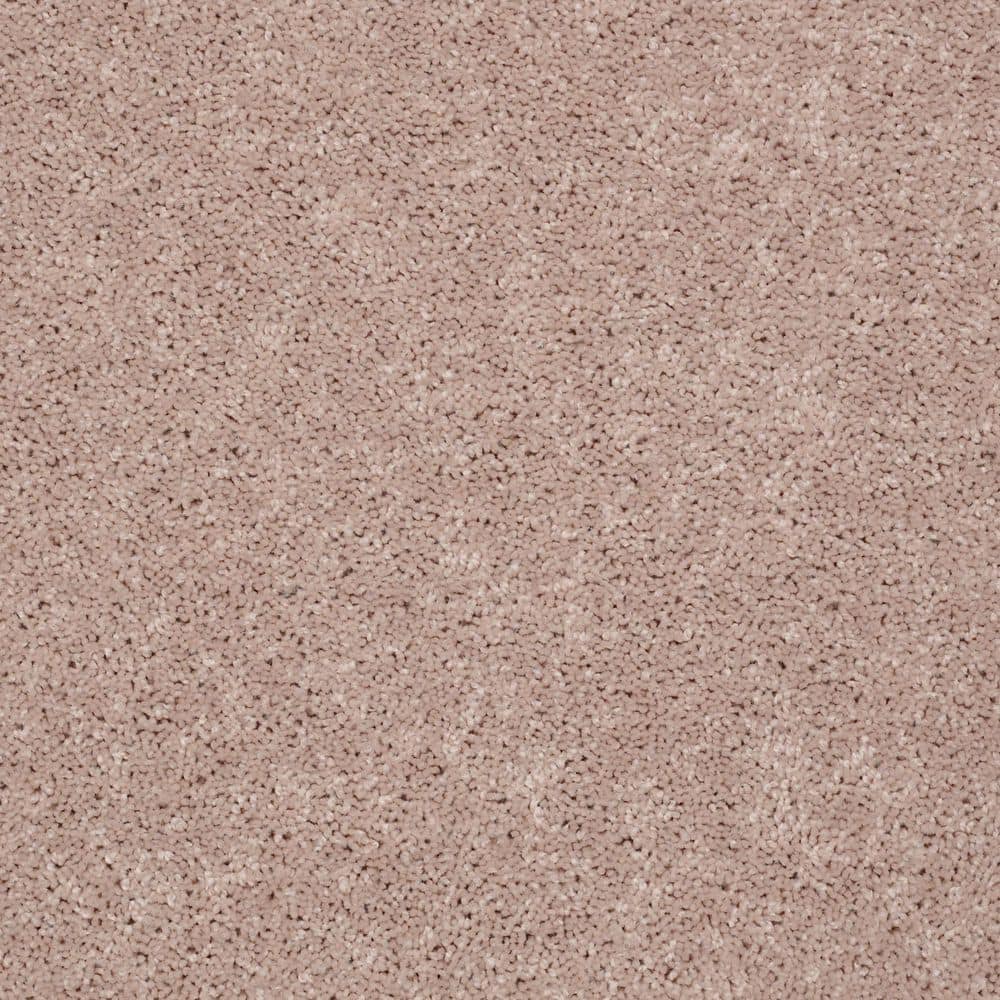 8 in. x 8 in. Texture Carpet Sample - Cottage Comforts - Color Adobe price history on PriceWatchPro