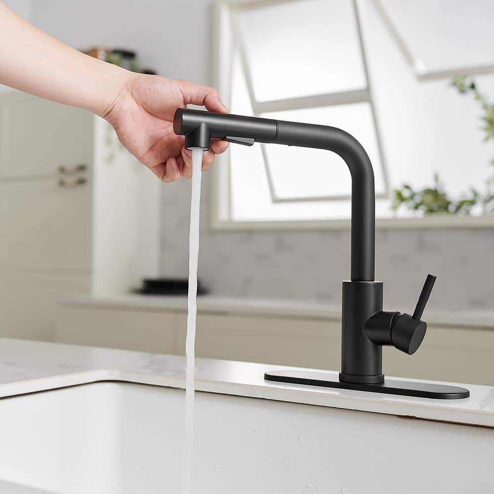 Matte Black Stainless Steel Pull-Out Spray Kitchen Faucet