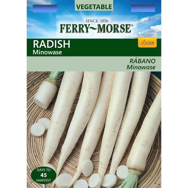 Ferry-Morse Radish Minowase Seed
