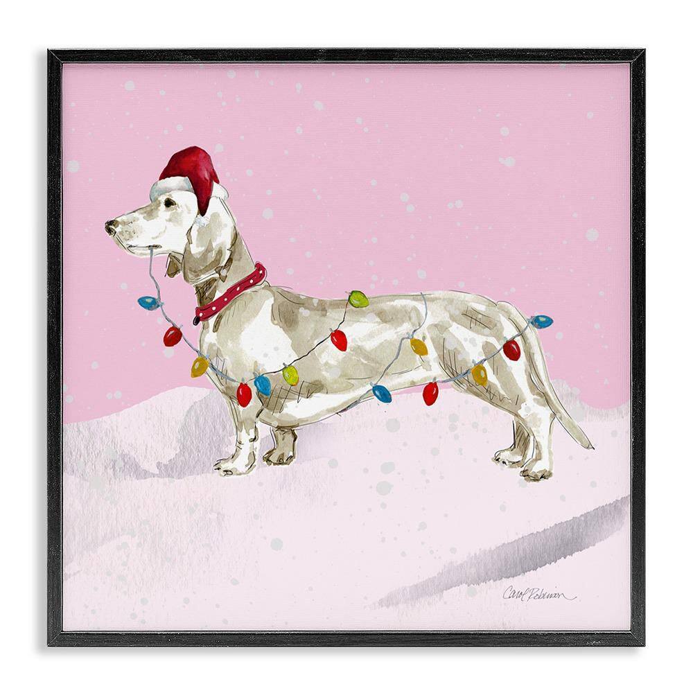 Christmas Lights Dachshund by Carol Robinson 1 Piece Black Framed Giclee Animal Art Print 12 in. x 12 in. price history on PriceWatchPro
