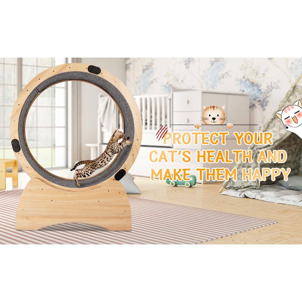 Natural Wood and Carpeted Cat Exercise Wheel with Detachable Blanket