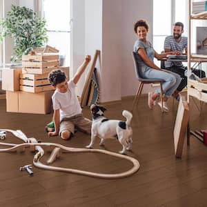Beverly Mill White Oak 3/8 in. T x 7 in. W Tongue and Groove Engineered Hardwood Flooring (560.88 sq. ft./pallet)