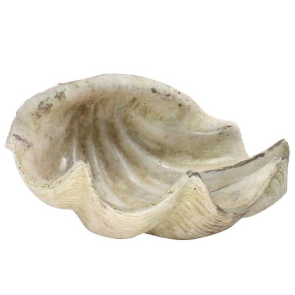 HomeRoots 6.25 in. White Sea Shell Sculpture