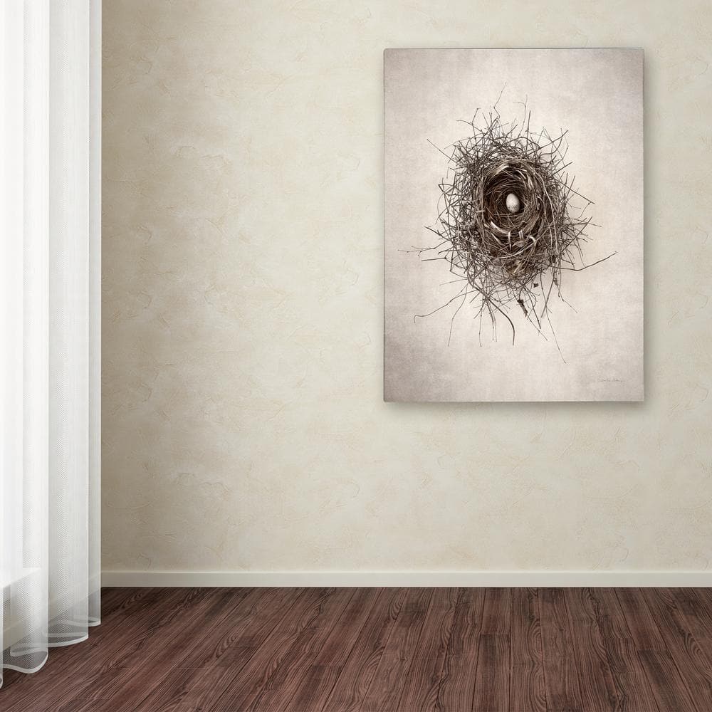 Large Framed Beige and Brown Bird Nest Canvas Art