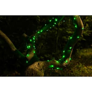 20 ft. 100-Micro LED Solar Powered Copper Wire Green Integrated LED String Light (4-Pack)