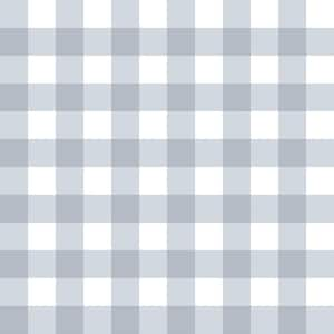 Little Explorers 2-Blue Tartan Boom Plaid Matte Finish Non-Pasted Non-Woven Wallpaper Sample