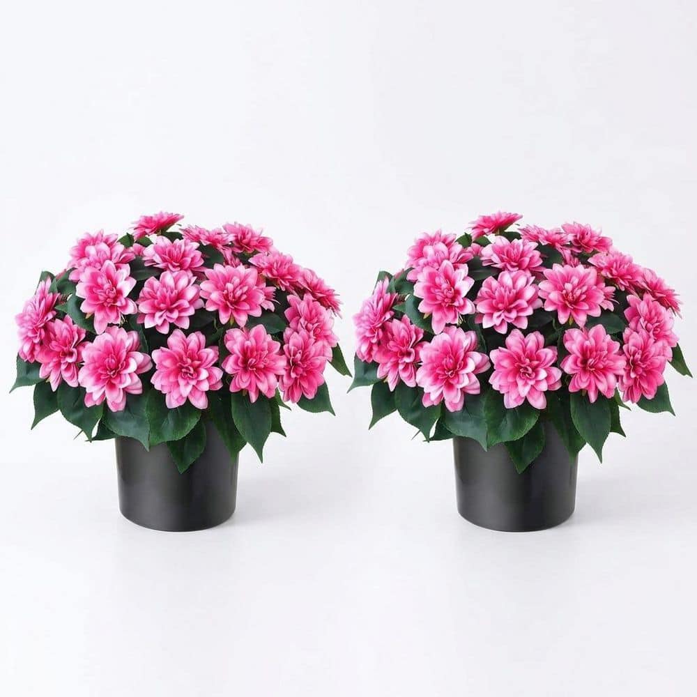 2 Pack 16 in. Pink Outdoor Artificial Dahlia Flower in Black Pot