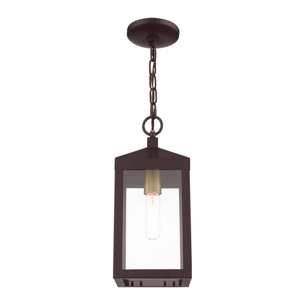 Nyack Bronze and Antique Brass 1-Light Outdoor Pendant with Clear Glass