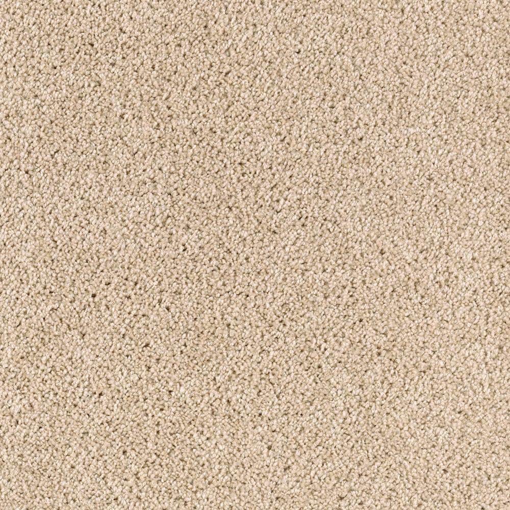 8 in. x 8 in. Texture Carpet Sample - Ambrosina I -Color Porcelain Beige price history on PriceWatchPro