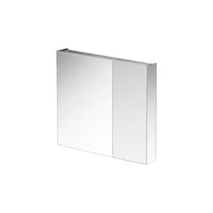Modern 30 in. W x 26 in. H Recessed/Surface Mount Rectangular Aluminum Medicine Cabinet with Mirror