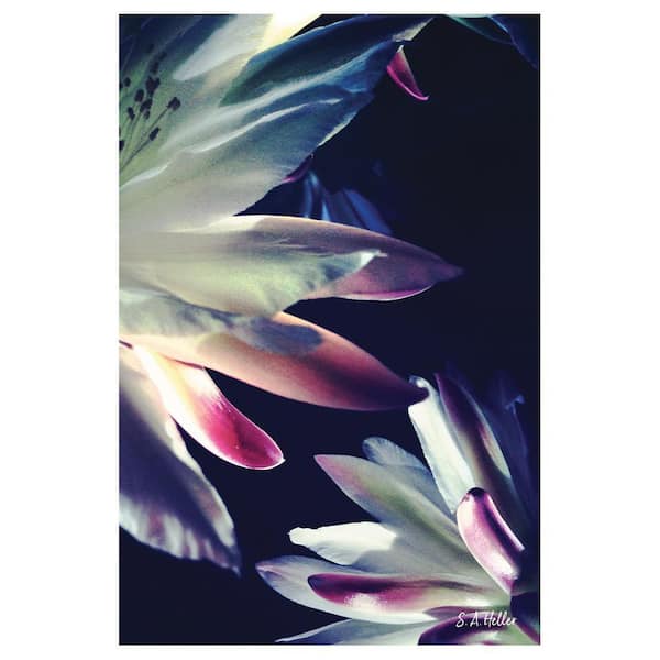 VENICE BEACH Collections BLOSSOMS TOUCH by Steven A. Heller 1 Piece Unframed Canvas Drawing Print Abstract Print 16 in. x 20 in.