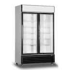 48 in. W 35.3 cu. ft. 2-Glass Door Commercial Refrigerator Merchandiser in White Coated Steel