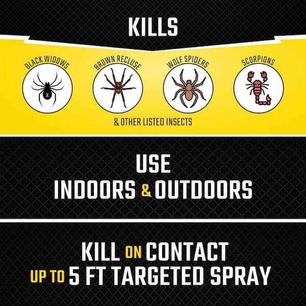 Spider and Scorpion Insect Killer 18 oz. Aerosol Spray