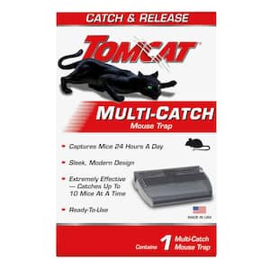 Multi-Catch Mouse Trap
