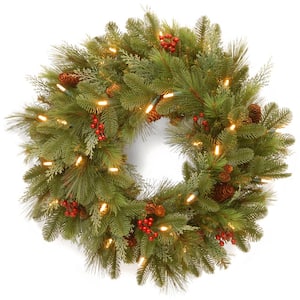 24 in. Noelle Artificial Christmas Wreath with Battery Operated Warm White LED Lights